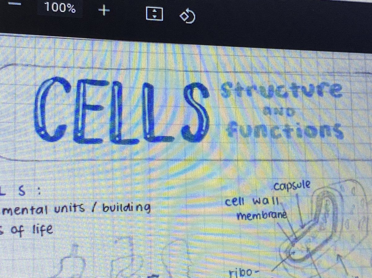 elyschive's tweet photo. hello stem friends !! if ever u need bio notes, avail kayo kay ate @qodiums !! her notes are very informative + organized !! affordable price lang din 🫀🐣 https://t.co/SoNCA9B2fR