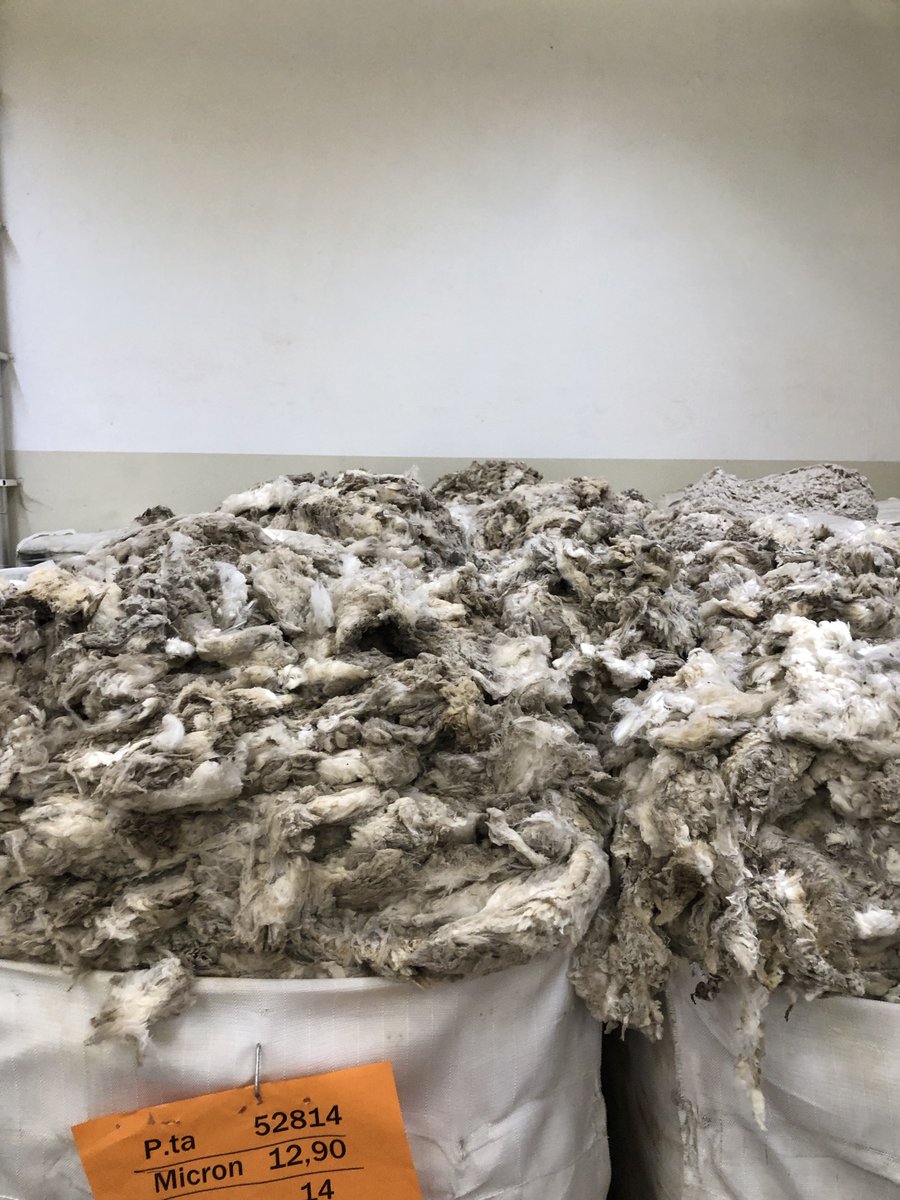 Spinning and processing wool in Milan. Our Sir James Gobbo Legacy Fellow Molly Faull has just returned from a couple weeks upskilling in Italy.