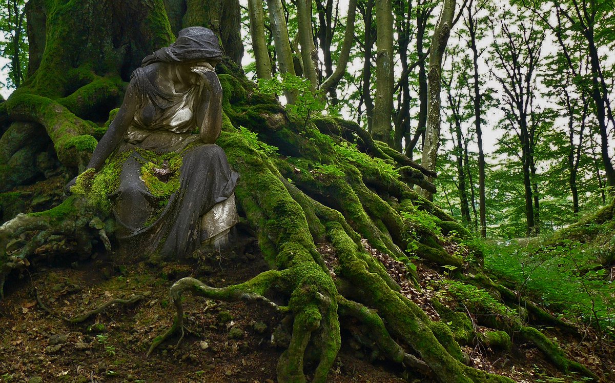 #DraussenWarEinmal

«Sterbewunsch ist konstant, wohl erwogen und aus dem eigenen Willen heraus. [...] ist eine äusserst differenzierte Frau, die hervorragend über ihre Erkrankung, die Therapieoptionen und Prognose informiert ist und die Konsequenzen vollumfänglich erkennt.»