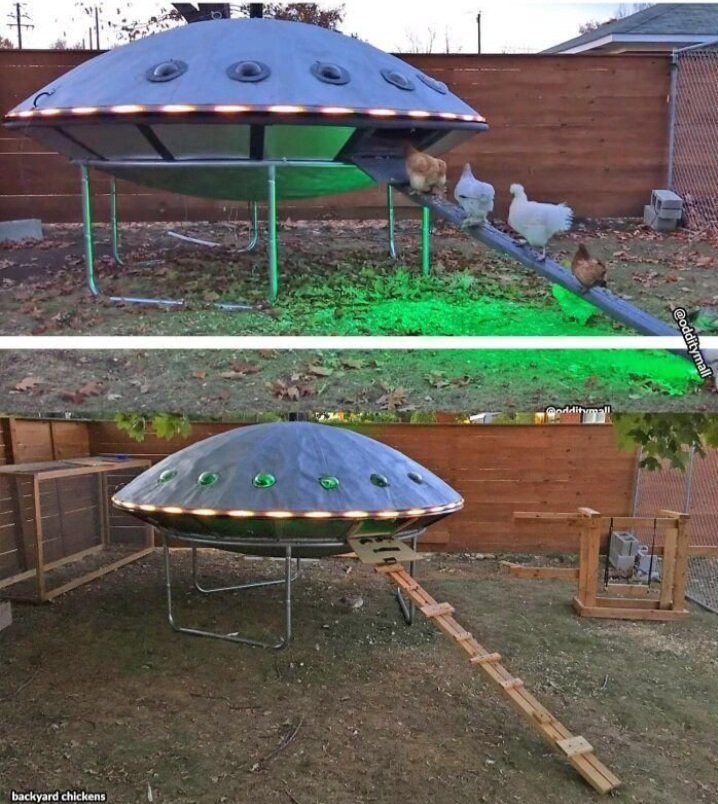 TiernanOwlRyan's tweet photo. Um.....best chicken coop anywhere in the galaxy. Ever. ππππΈπ€ #chickens #petchickens #backyardchickens #chickencoops #ufotwitter #UFOs #UFO #UFOSightings https://t.co/I9jcdrNKwy