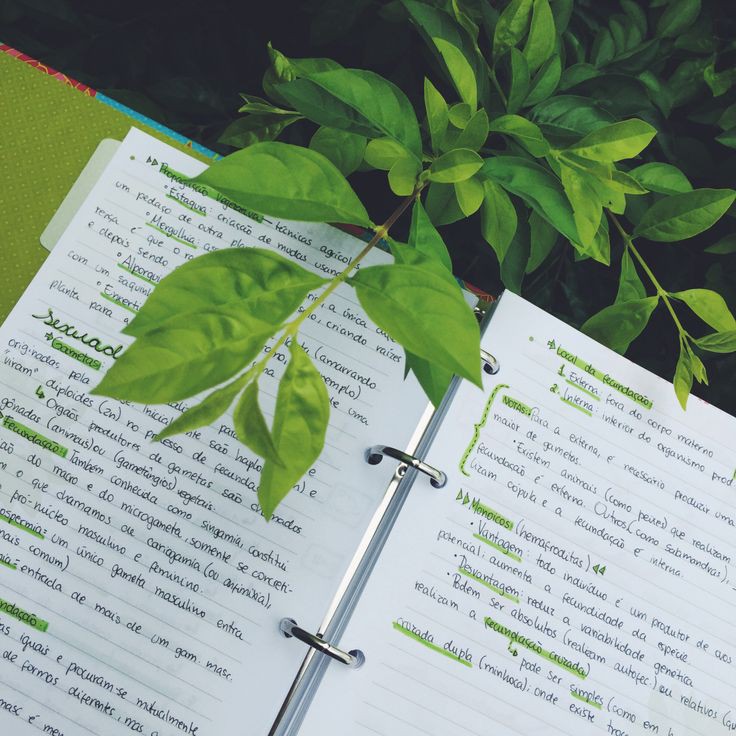 xiaoxidocs_'s tweet photo. ✧ hii!, i'm mako! i'm new to #studytwt and i'm looking for friends here! let's study together 

♡۰ ׅ ࣪  ⊹
 — 💌she/her - 07
 — ☘️pisces 
 — 🎀g11 STEM student
 — 🍃coffee, crochet, photography, volunteering and more
 
🖇️ #studytwt #studyacc #studytwtph https://t.co/i8HHofZHsl