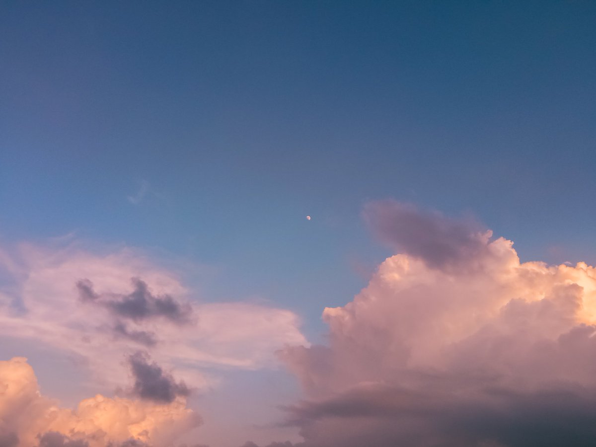 SusmitaSil11's tweet image. It&apos;s officially &quot;Salt airrrrr&quot; and the &quot;rust on your door&quot; season.. ✨
#August1stTweetOutDay #TaylorSwift #taylorswiftaugust #Folklore #taylornation