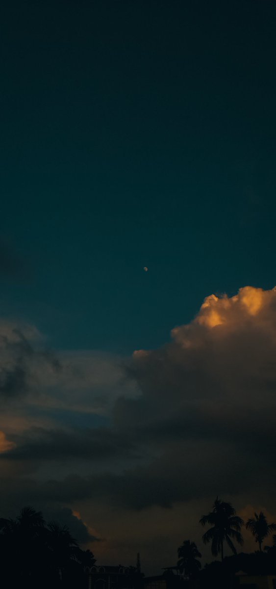 SusmitaSil11's tweet image. It&apos;s officially &quot;Salt airrrrr&quot; and the &quot;rust on your door&quot; season.. ✨
#August1stTweetOutDay #TaylorSwift #taylorswiftaugust #Folklore #taylornation