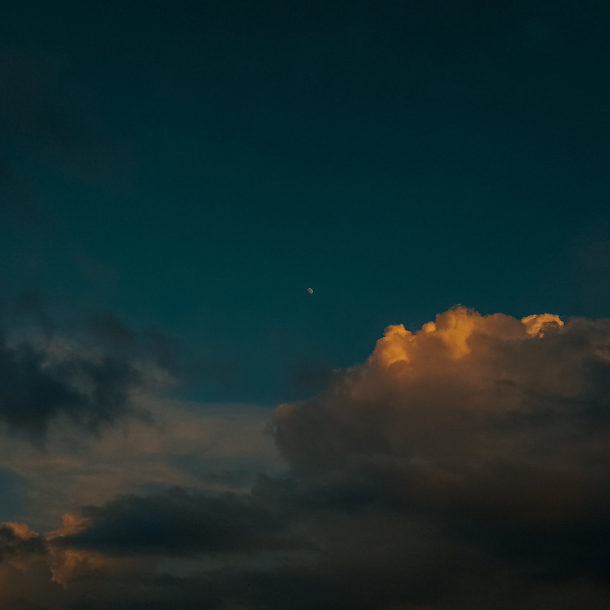 SusmitaSil11's tweet image. It&apos;s officially &quot;Salt airrrrr&quot; and the &quot;rust on your door&quot; season.. ✨
#August1stTweetOutDay #TaylorSwift #taylorswiftaugust #Folklore #taylornation