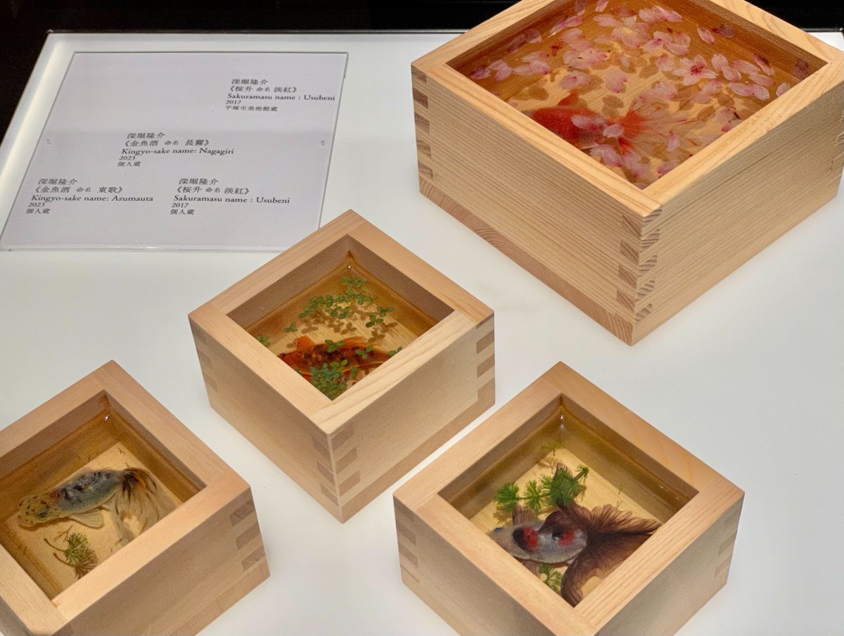 桜升 命名 淡紅》2017 深堀隆介 作（平塚市美術館 蔵） 升(ます)に