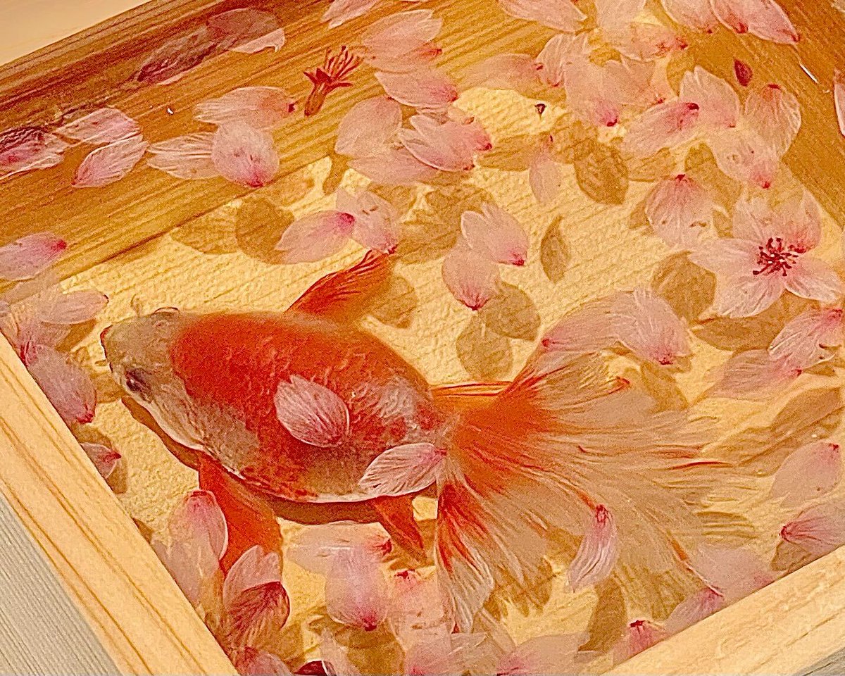 アクリルアート 金魚 升 3Dアート