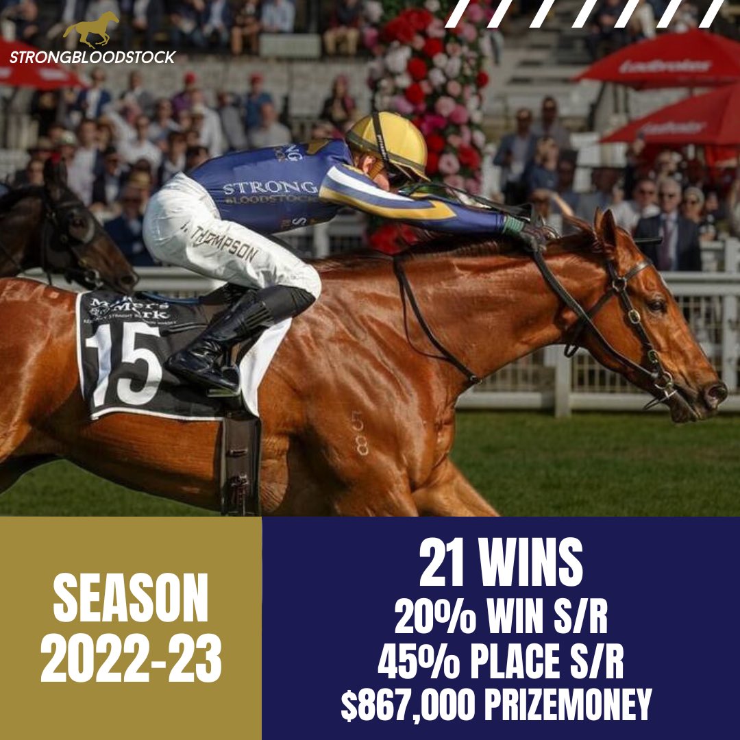StrongBldStock's tweet photo. Excited for the start of the new season as we say happy birthday to our equine friends today 🐴 🎉 

What a year it has been for the team as we look back on a successful 2022-23 racing season, headlined by our first Stakes winner 👑 

🎥 Season highlights 
https://t.co/Agk3tjYflT https://t.co/dSTP7fjk93