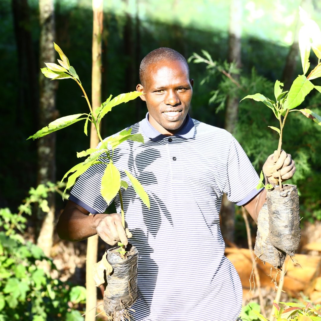 kenaff_farmers's tweet photo. Unlocking the potential of tree value chains among farmers holds the key to sustainable agri-practices and economic prosperity.
#Sustainability #Agriculture #Farmers #TreeValueChains https://t.co/c3SEt3bEL1