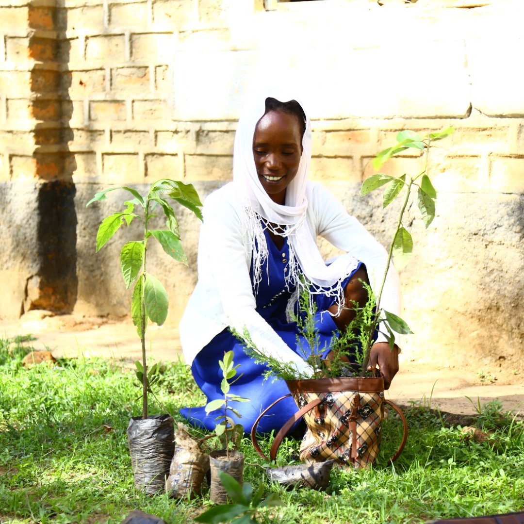 kenaff_farmers's tweet photo. Unlocking the potential of tree value chains among farmers holds the key to sustainable agri-practices and economic prosperity.
#Sustainability #Agriculture #Farmers #TreeValueChains https://t.co/c3SEt3bEL1