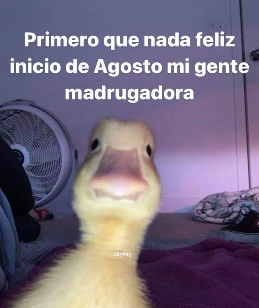 En Júpiter (@en_jupiter_) on Twitter photo 