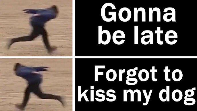 WholesomeMemes (@wholesomememe) on Twitter photo 