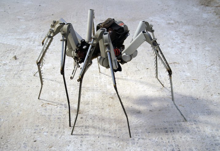 This feller is currently lurking at Godinton if you’re in the area… 
 #animalart #animalsculpture #spider #recycledart #hubcapcreatures