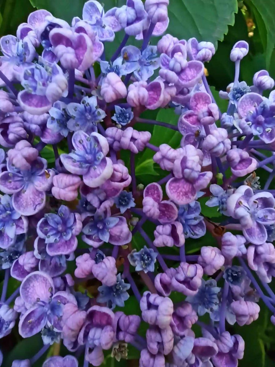 nastromo_eth's tweet image. GM, world! 👋 Friday's your chance to shine bright, conquer challenges, and slide into the weekend like a champion! 🌞🌟💪