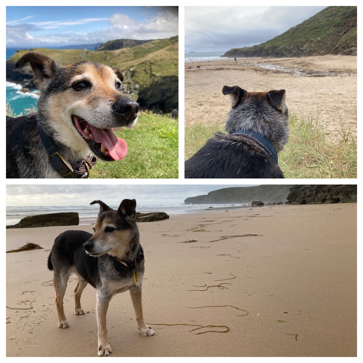 WalkingMunro's tweet photo. https://t.co/yMlpKrBFc5