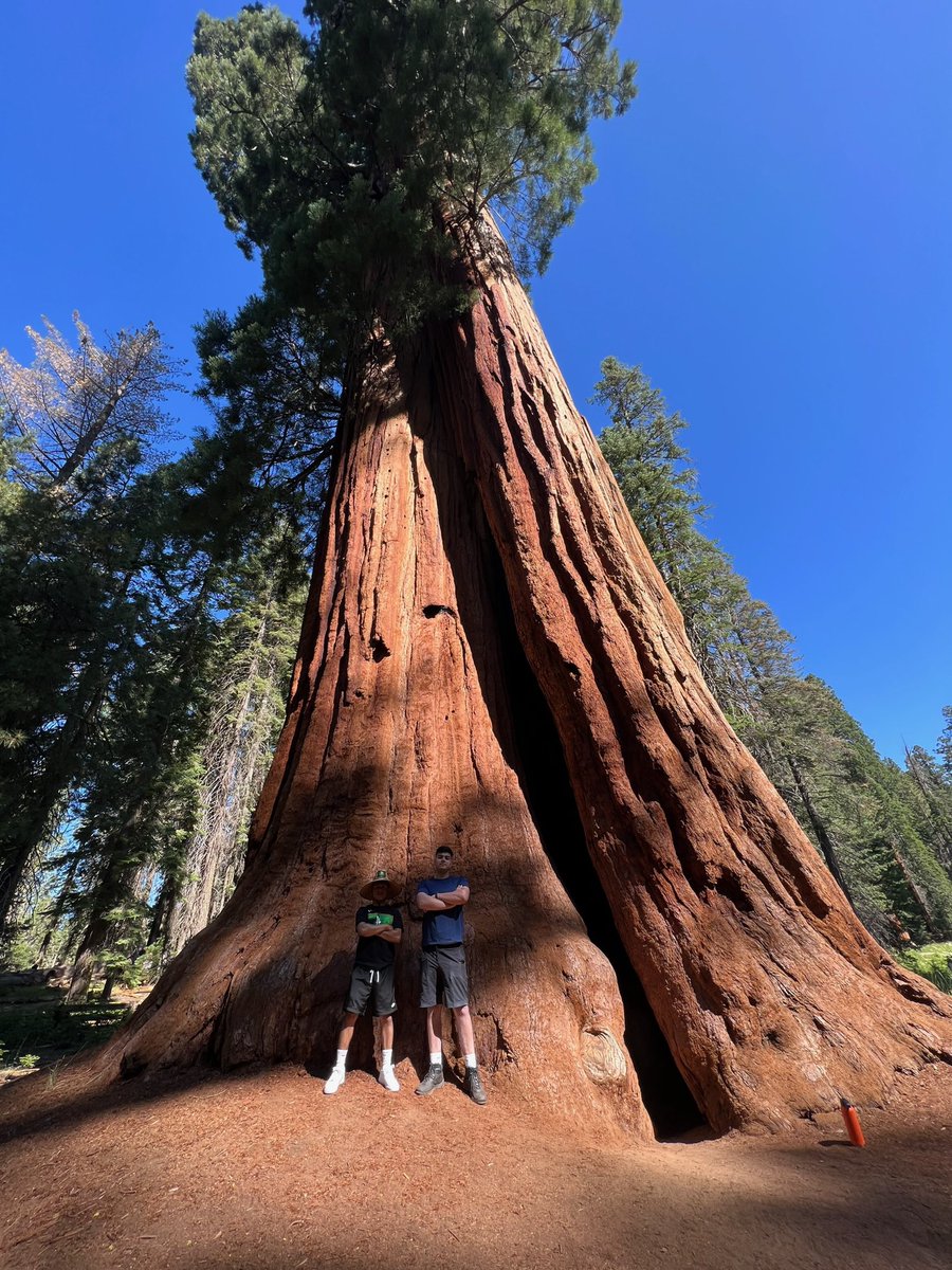 UrendaFreddy's tweet photo. Twin trees twin flame 🤣 https://t.co/kTLUVzG5RN