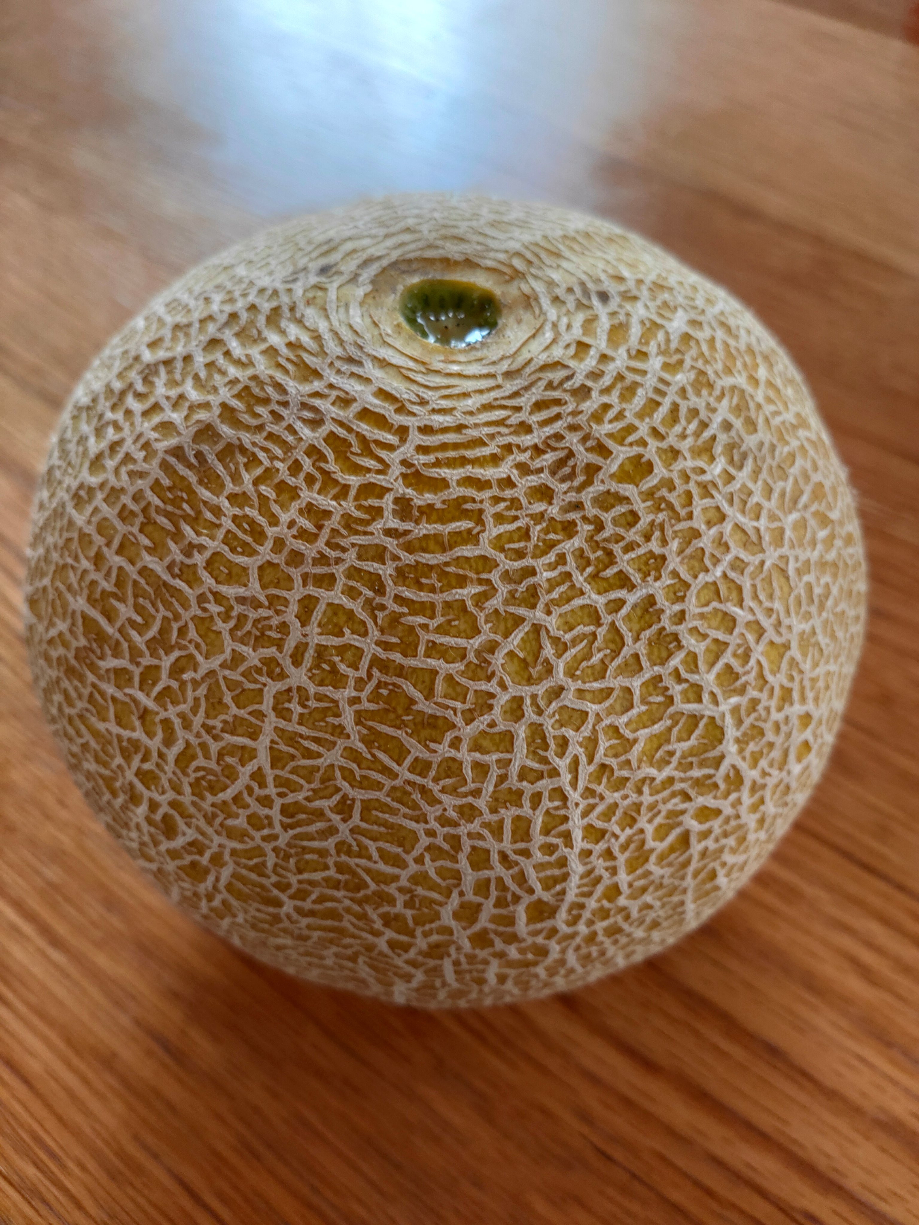 ころたん mqdefault.jpg