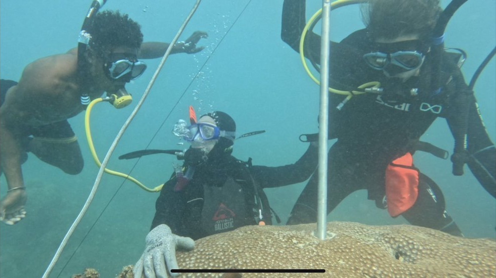 Over the past month I had the great pleasure of diving &amp; coring corals with <a href="/coralmannie/">Jens Zinke</a>, <a href="/ManlinZhang95/">Manlin Zhang</a> &amp; the MAP team in SW Madagascar [left-right: Odilon, Jens, me; <a href="/kgdouglass/">Kristina Douglass</a> filming; <a href="/DDavis_Arch/">Dylan Davis</a> &amp; Pota on boat]. Beautiful experience, can’t wait for the climate records 🌊