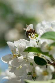 The platform functionality is completed and can be tried out today on the Ozone website. Additionally, the Ozone YouTube channel showcases lots of great technology and platform features.