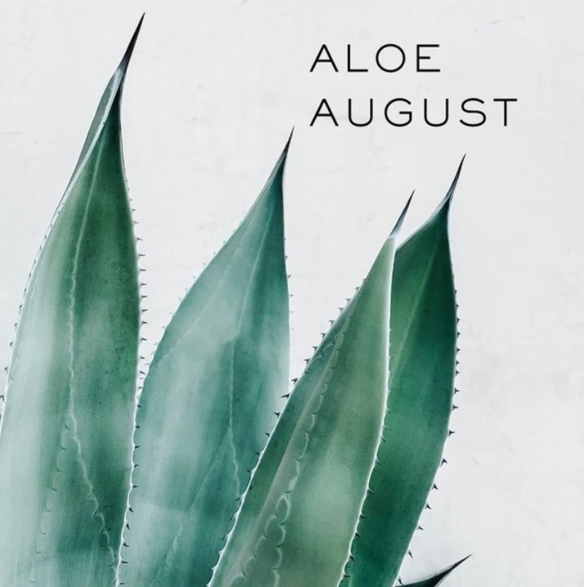 OfficialNanogen's tweet photo. Aloe August!​​​​​​​​
​​​​​​​​
Aloe Vera is a key ingredient in our shampoos, its natural goodness has many beneficial properties to give your hair the strength and shine you've been looking for:​​​​​​​​
​​​​​​​​
💚 The potent antipruritic properties help to soothe and heal your s https://t.co/XPU6HMl0tl