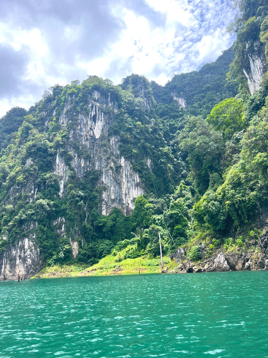 BenHeath2021's tweet image. Just taking it in me stride #EasyWork 👌