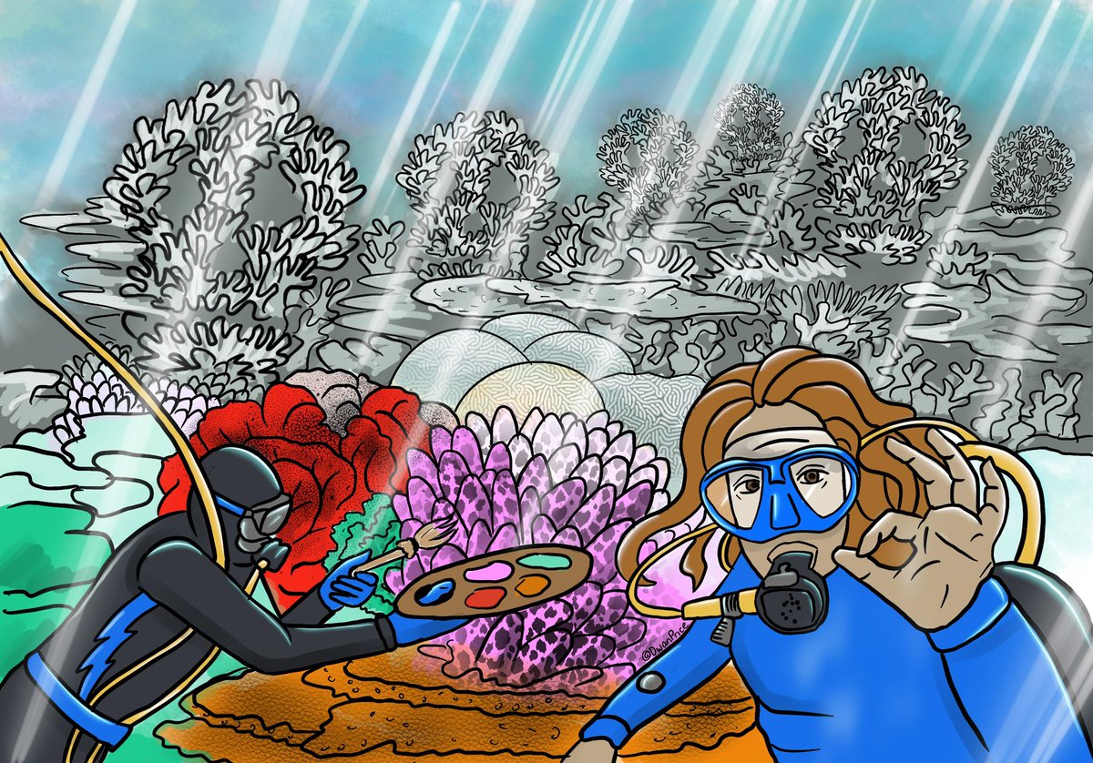 Dr Dwan Price 🌟 tweet media