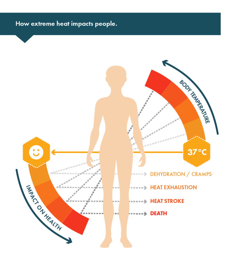 knaufinsulation's tweet photo. Extreme heat can make it difficult to maintain a core body temperature of 37°, putting our comfort &amp; well-being at risk 🌡️ How can we mitigate this risk? By making sure that our #buildings are properly insulated. Learn more 👇
https://t.co/p4igP1ajD1
#MakeInsulationDoMore https://t.co/GwGGu4AgK5