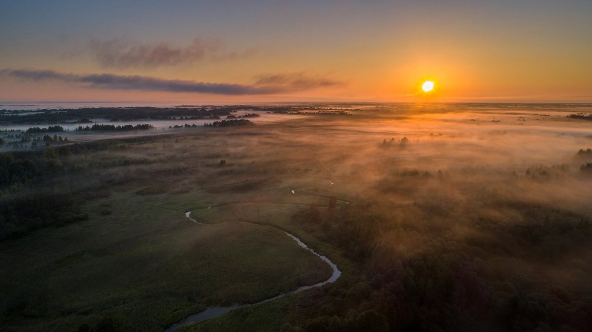 📷 Летний восход над рекой Тороховка в Псковской области

📷 Ян: rtraveler.ru/community/user…