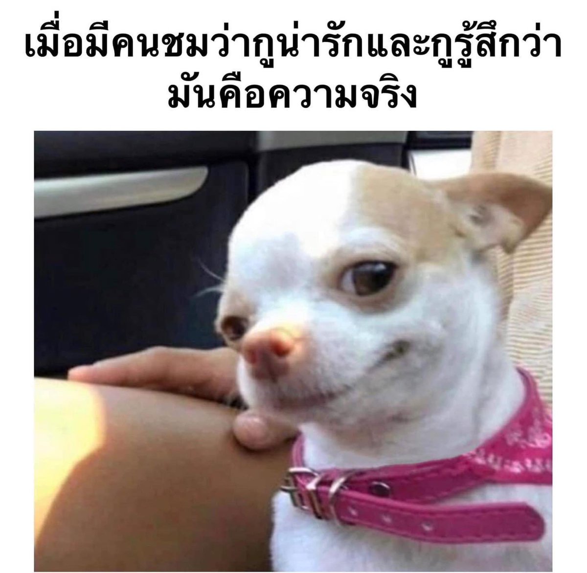 อะคิ