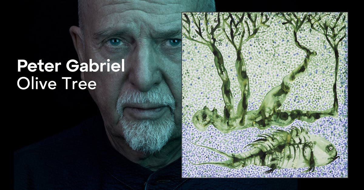 genesis_news's tweet photo. PETER GABRIEL: „Olive Tree“ is now available. Our track article with all the details: https://t.co/eeF80kOsVE 
@itspetergabriel @Raelmatrix #petergabriel https://t.co/pD3zYiEmmZ