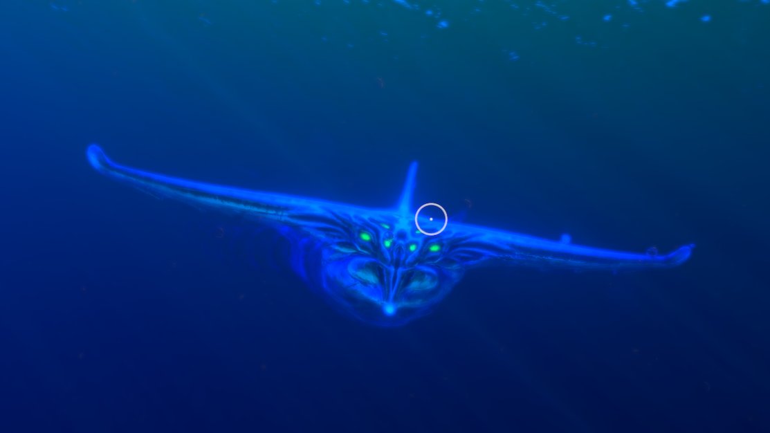 jacstrom's tweet photo. Top 10 moments before disaster #subnautica #Memes https://t.co/cr09ID3i5q