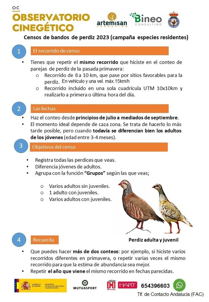 El Observatorio Cinegético lanza una nueva campaña de censos de bandos de perdiz 

➡️ Para colaborar en #Andalucía, contacta con <a href="/AntonioCastan5/">Antonio Castán</a>:
📞 654 396 603 (Antonio Castán)
📧 observatorio@fac.es 
ow.ly/Q7IZ50PpF6i