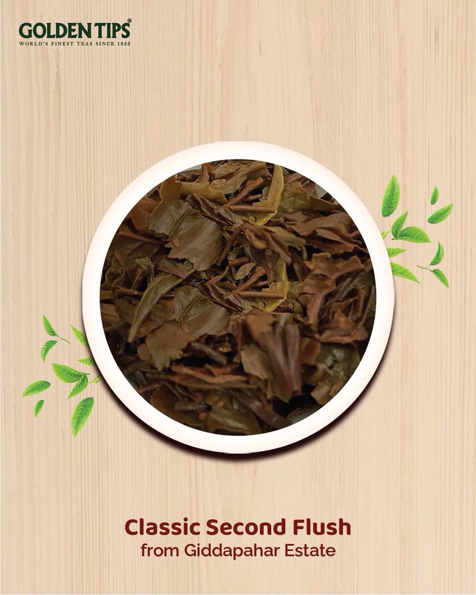 GoldenTipsTea's tweet photo. >Summer Signature Darjeeling Black Tea - Second Flush 2023<
π¨ ππππππ πππ ππ
π
πππππ ππ πππ πππππππ
Summer Signature 2023 from Giddapahar Estate.
#goldentips #DarjeelingDiaries #goldentips #goldentipsindia #tea #tealovers #secondflushtea #newarrivals https://t.co/0riROWSJL3