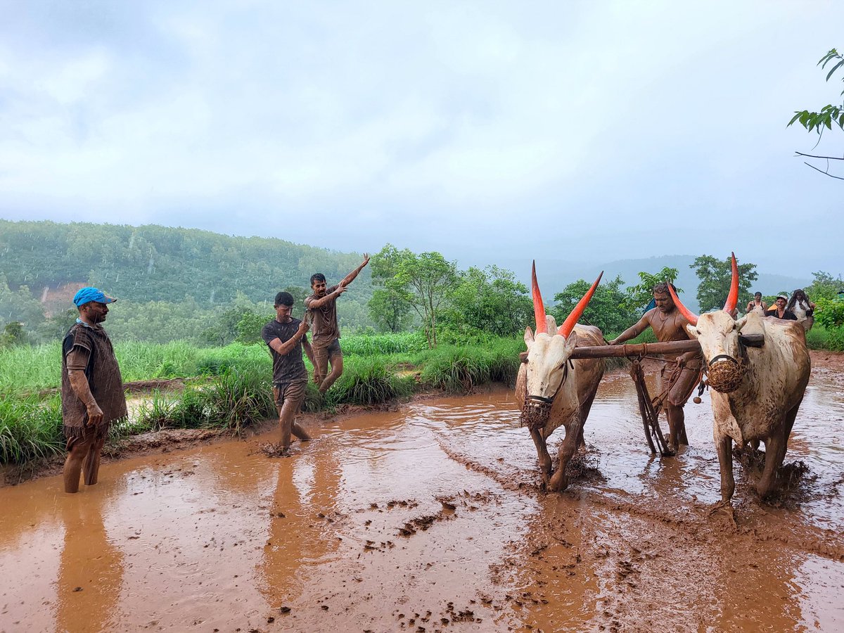 Kalammawadi Wildlife Tourism tweet media