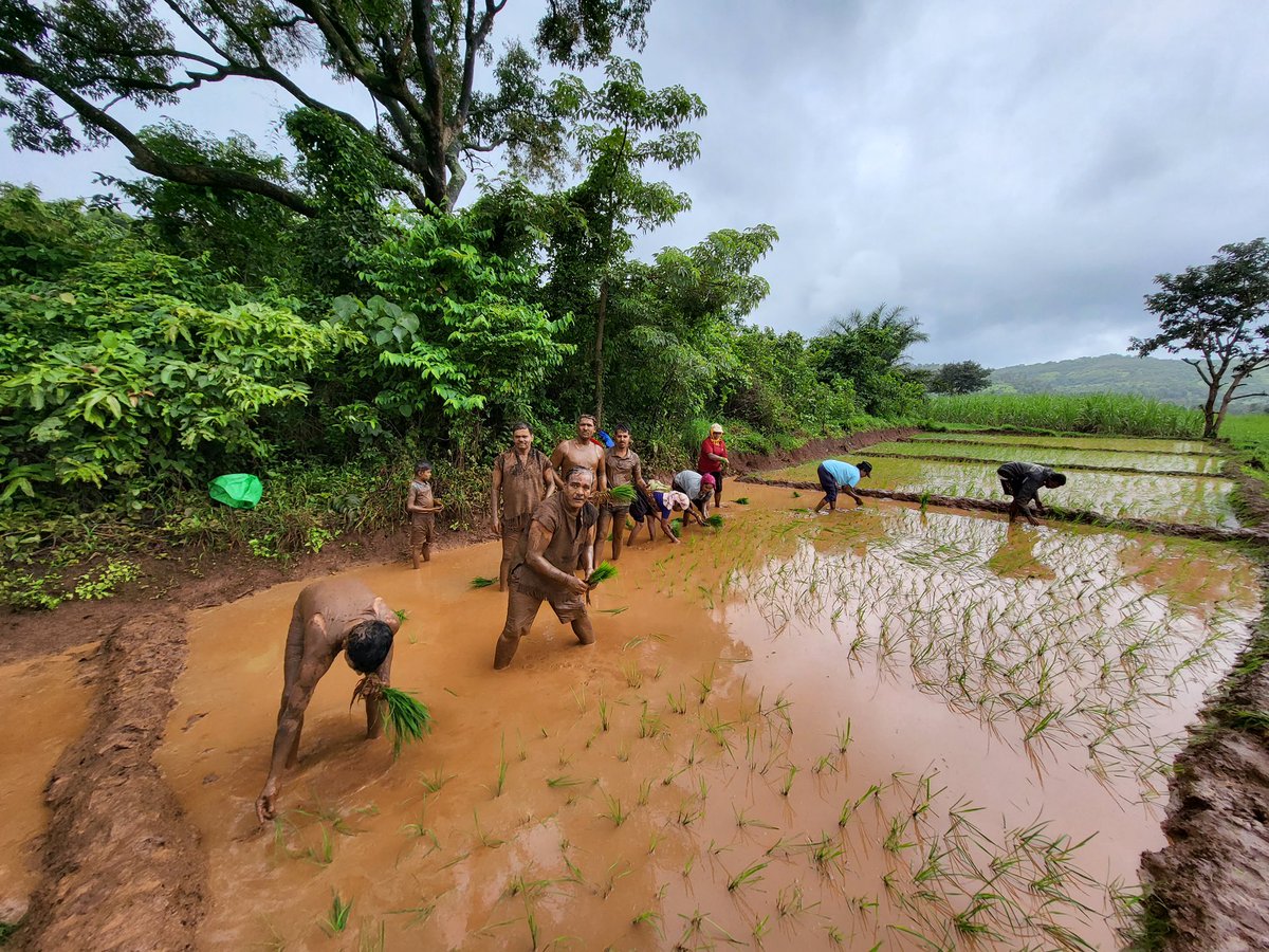 Kalammawadi Wildlife Tourism tweet media