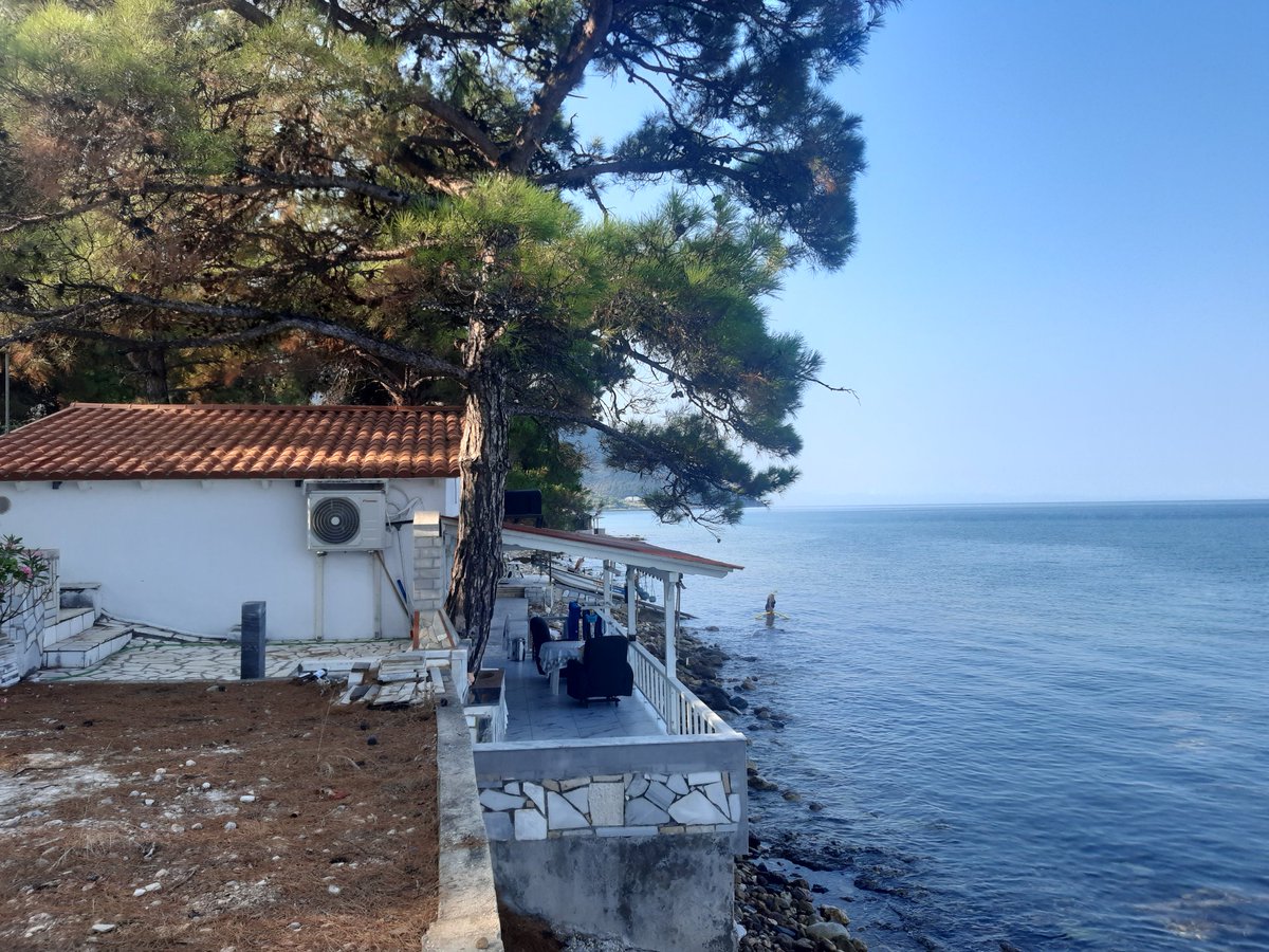 Σήμερα εδώ 🐬
#Thasos 
#Greeksummer