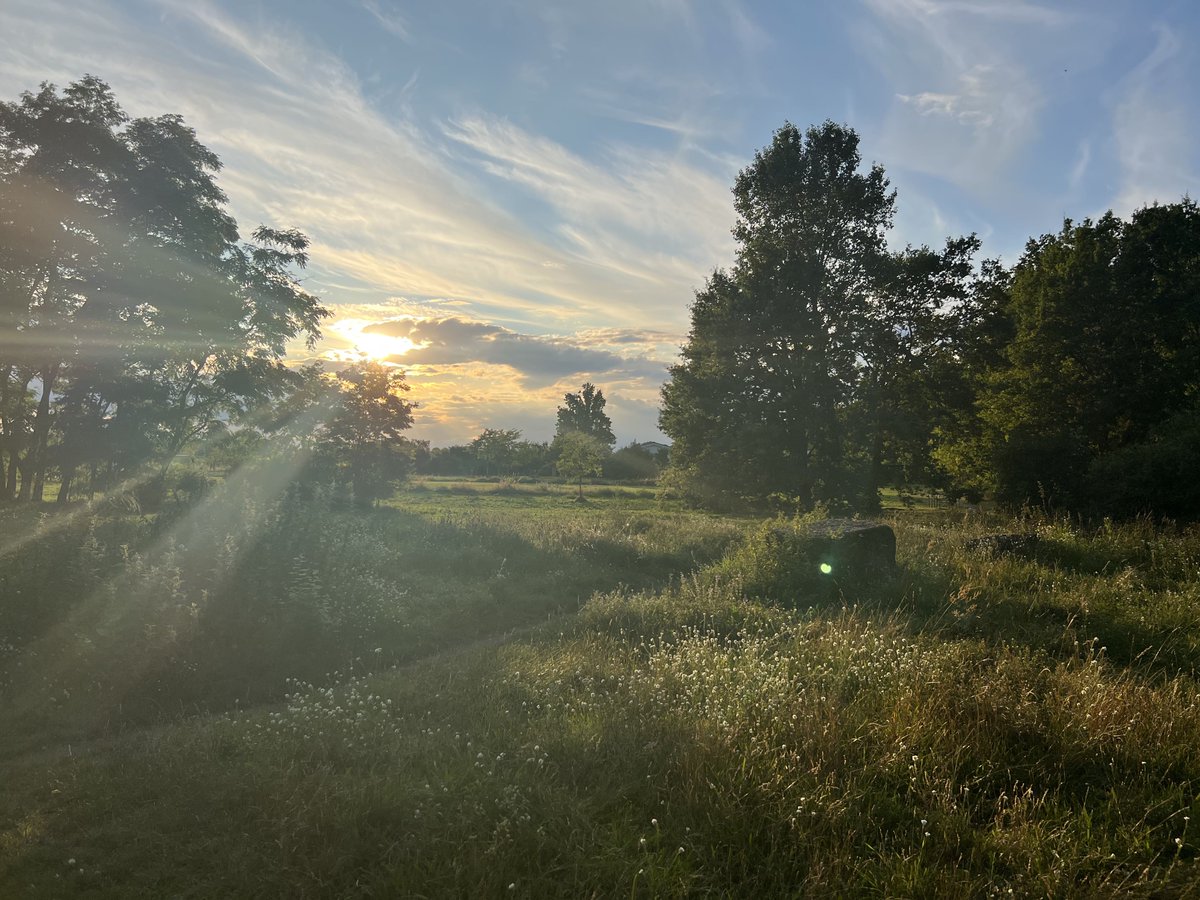 Neu im Blog: Juli 2023 liga.parkdrei.de/2023/08/01/jul… #Potsdam