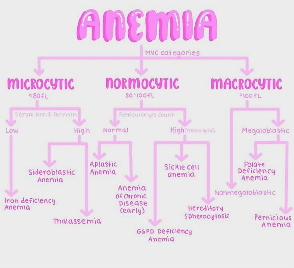 Types of Anemia