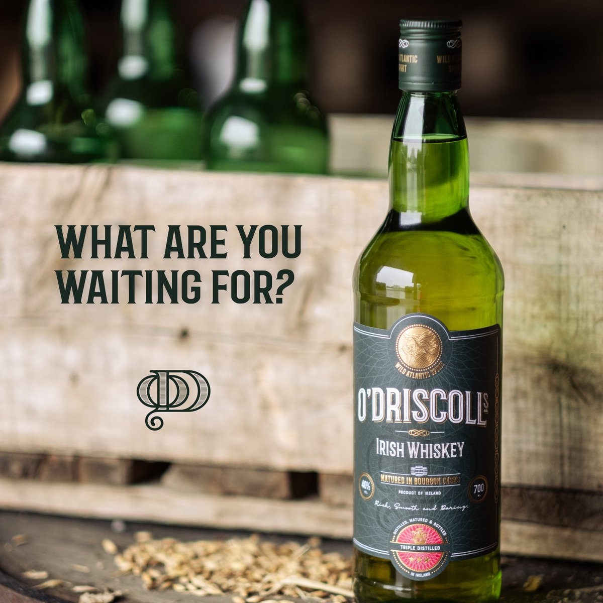 Seeking a new whiskey adventure? Look no further! O'Driscolls .Unleash the spirit within. 🇮🇪 🥃🏴‍☠️ 🖱Visit: odriscollsirishwhiskey.com #odriscollsirishwhiskey #odriscollsclan #irishwhiskey #whiskeylovers #ireland #whiskey #whiskeylover