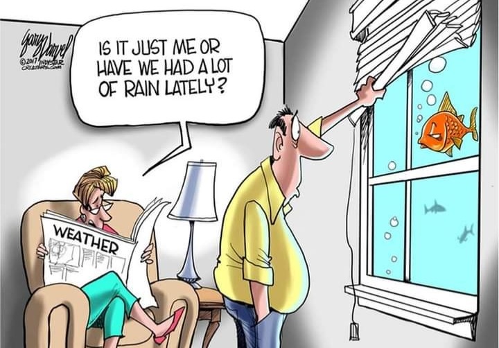 ArnieSwartzPoop's tweet image. 