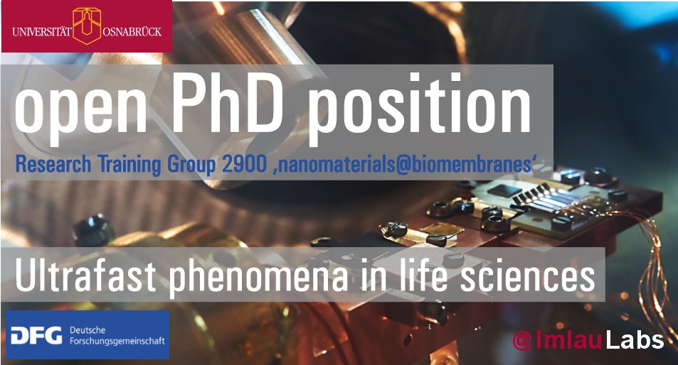 Open PhD-position <a href="/ImlauLabs/">Imlau Labs</a> in the field of #ultrafastphenomena in #lifesciences: fs-pulse management for optical interrogation of biomembranes. DFG Research training group 2900 'nanomaterials@biomembranes'. Interested? Contact: mimlau@uos.de. Apply here: uni-osnabrueck.de/universitaet/s…
