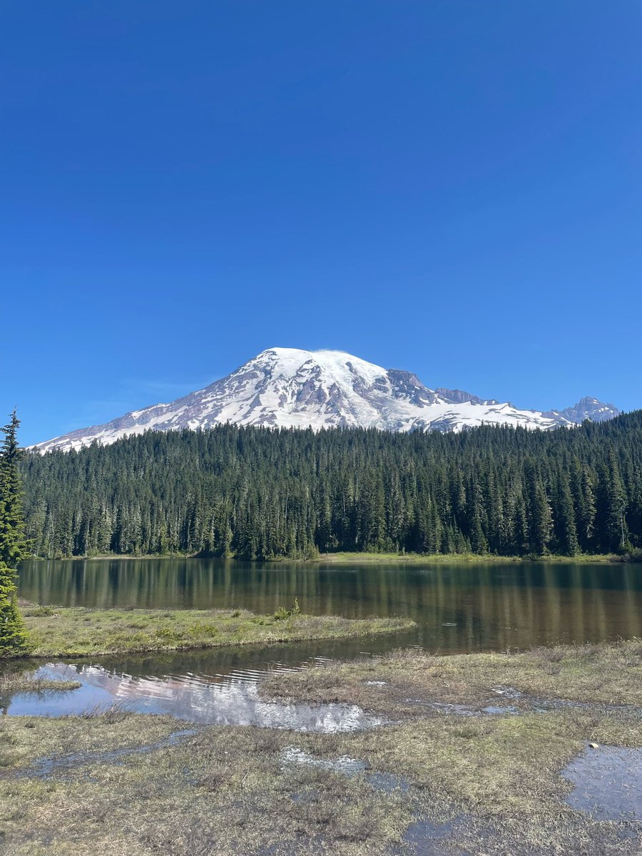 SarahSmartly's tweet photo. Amazing trip to @MountRainierNPS last month. Thank you to @visitmtrainier for the tips! 

#Rainier #Washington #NatureBeautiful #Mountains https://t.co/yt47ZQEshN