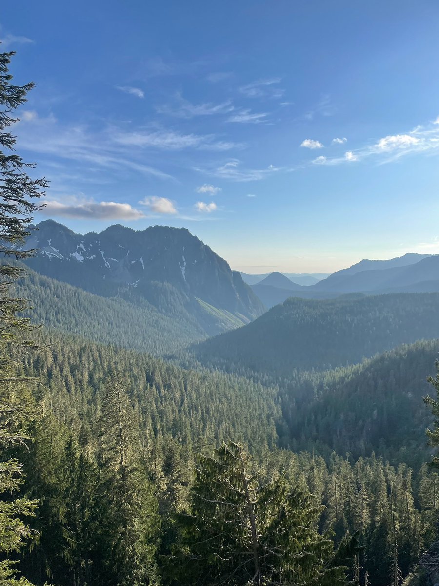 SarahSmartly's tweet photo. Because there’s too many photos to choose from … @MountRainierNPS @visitmtrainier https://t.co/NoJgQLoRNf