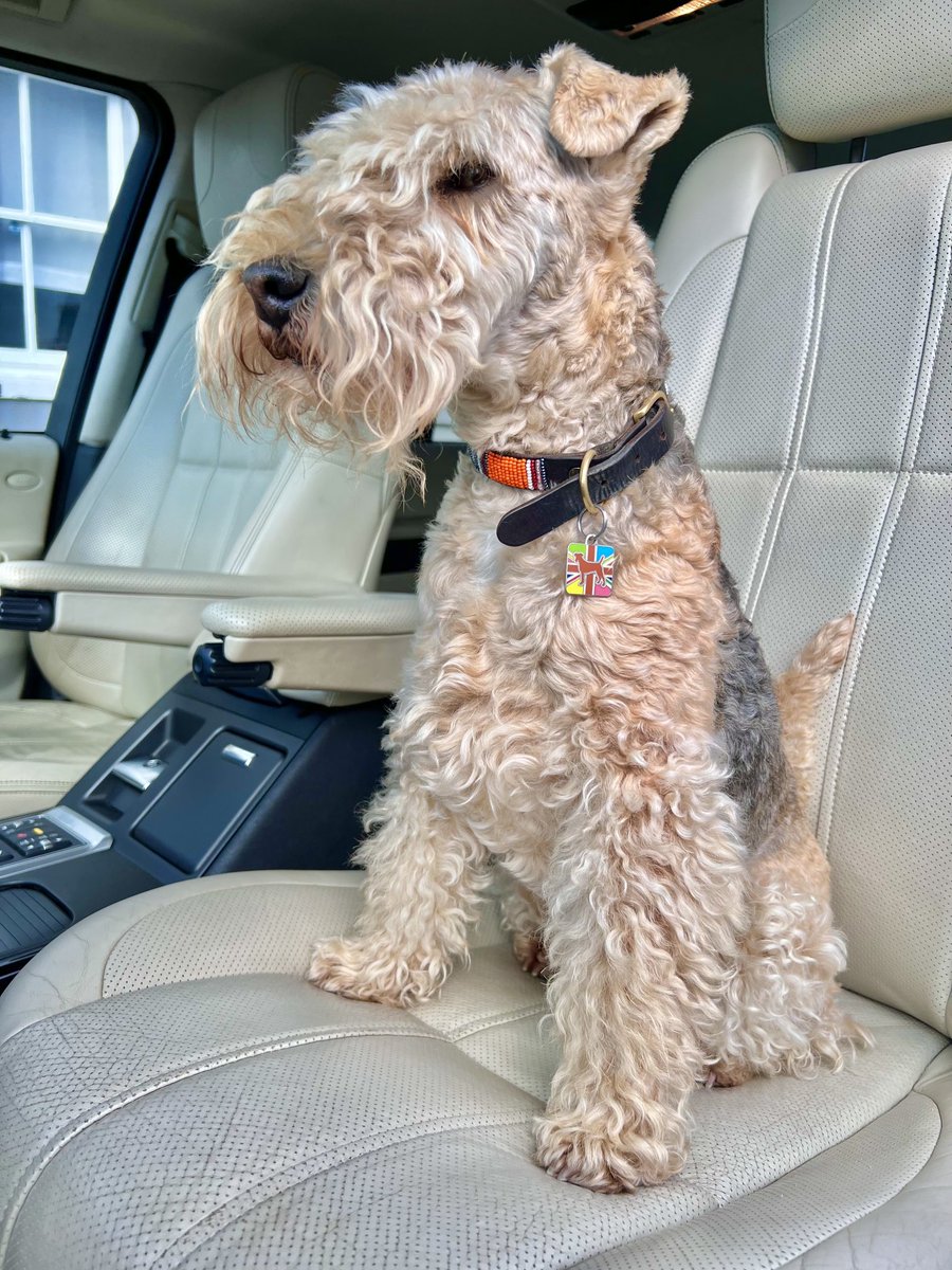 bertie_lakeland's tweet photo. Good morning everyone, good morning world 💋 https://t.co/KEYcjTBYMy