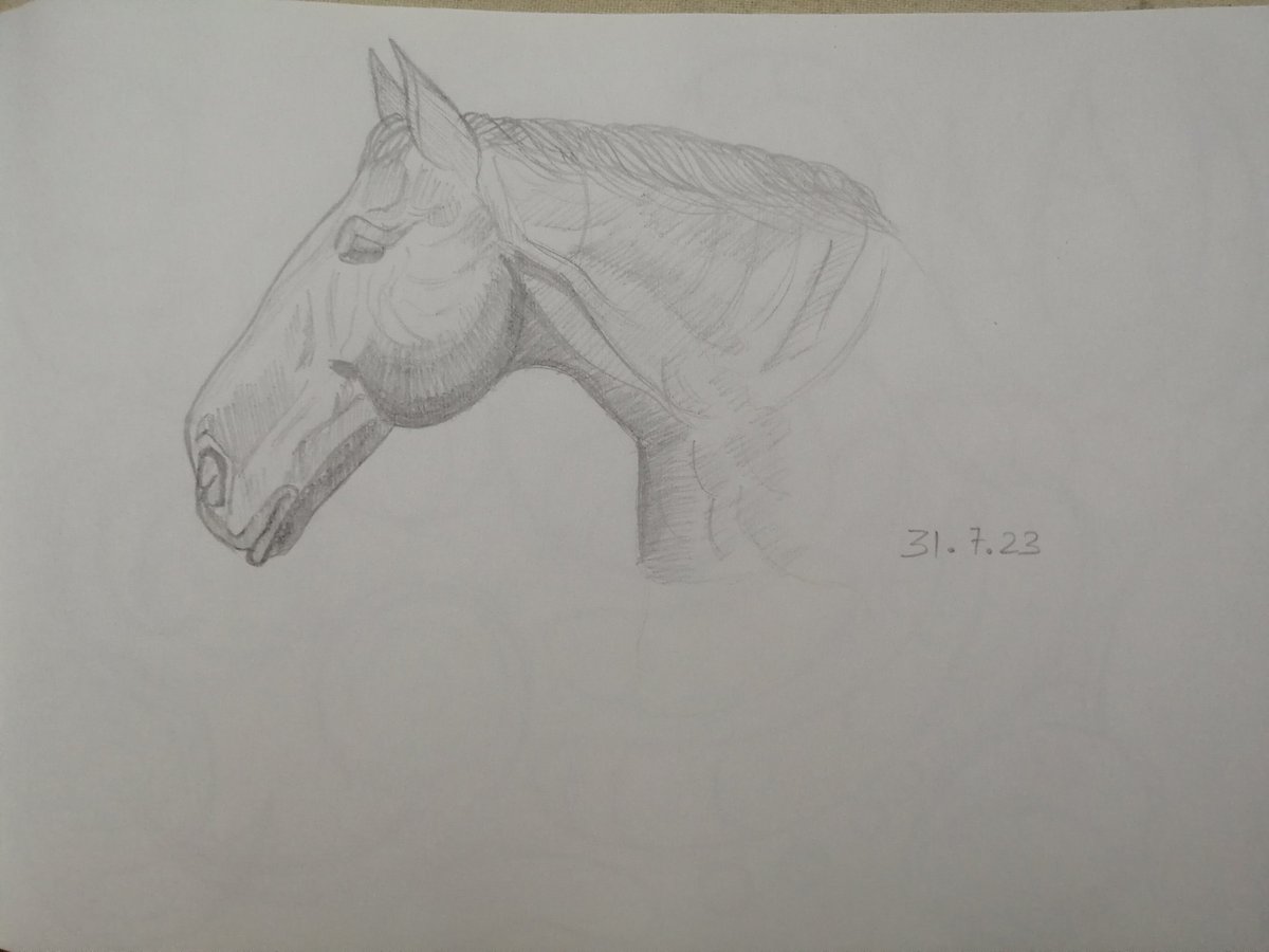 adraj's tweet photo. Drawing camp day 6
#drawingcamp https://t.co/wderrMGZwt