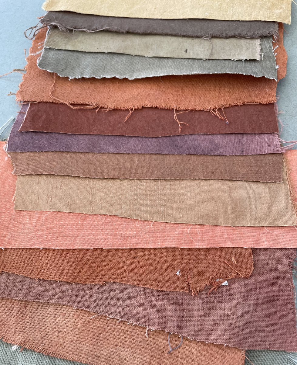 redrubyrose_'s tweet photo. Putting these madder, walnut and hopi sunflower swatches together today. As usual the phone camera has flattened the colours but in natural light they are vibrant, especially the madder coral pink. https://t.co/ufsHgcBjfd