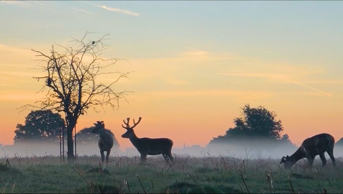 MyLifeFilmsOrg's tweet photo. Love Parks Week 28 July - 6th Aug celebrates parks &amp; the green spaces that bring us together. Being in nature relaxes us, improves mental health and wellbeing &amp; experiencing nature on TV also has proven positive effects. Get your dose of nature today! #dementiacare #elderlycare https://t.co/6uyXdsnX4B