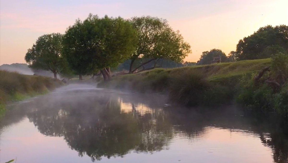 Love Parks Week 28 July - 6th Aug celebrates parks &amp; the green spaces that bring us together. Being in nature relaxes us, improves mental health and wellbeing &amp; experiencing nature on TV also has proven positive effects. Get your dose of nature today! #dementiacare #elderlycare