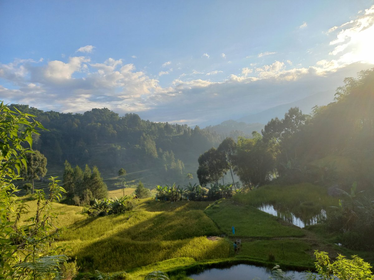 pirrin_'s tweet photo. Healing ke kampung halaman

#healing #WonderfulIndonesia #toraja https://t.co/039OsYXrNR
