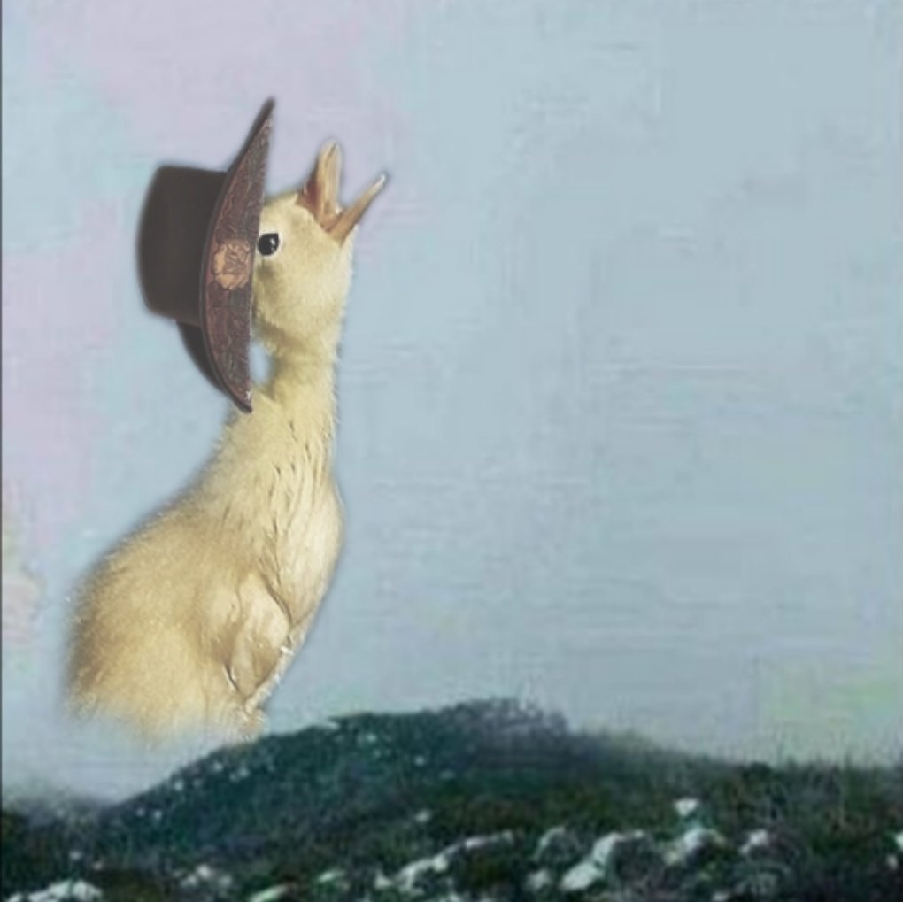 wann ist endlich abend ich will zurück auf meine sims pferde ranch