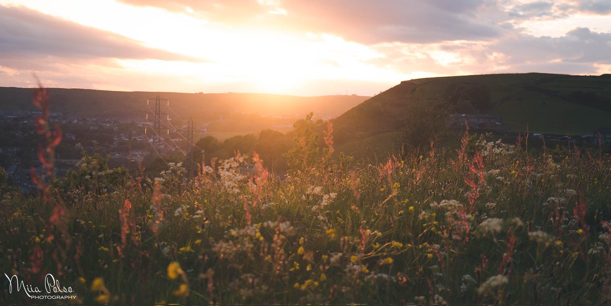 Amaris73's tweet photo. Happy Yorkshire Day! #YorkshireDay https://t.co/3aO93BGbaf